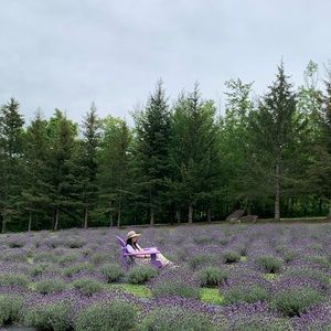 Meet your Posher, Holly